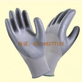 �������z����