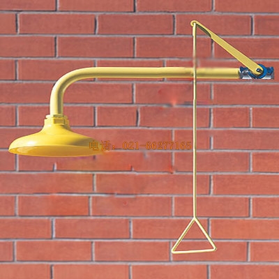 噴淋器|接墻式洗眼裝置|壁掛式洗眼裝置|進(jìn)口洗眼裝置