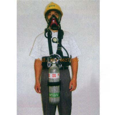 MSA BD2100mini���Խoʽ�՚������