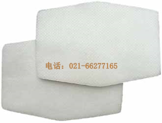 ST-AGX1 超細(xì)濾芯片