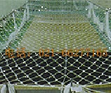 ��ȫƽ�W(w��ng)