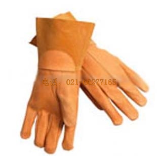 �i��Ƥ���gTIG����