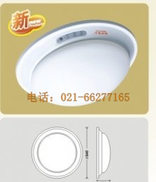 ���ʽ������(y��ng)����