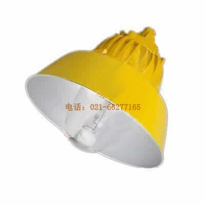 高亮度防爆道路燈