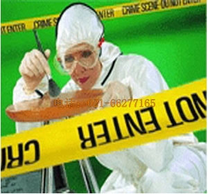 2000�����o��