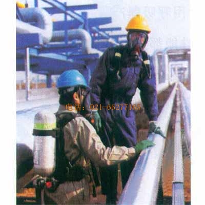 MSA BD2100�`��(d��ng)���Խoʽ�՚������