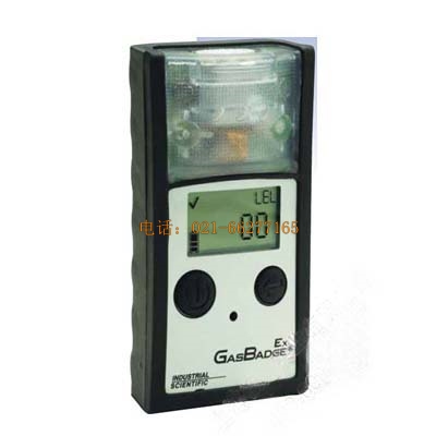 Ӣ˼��GasBadge EX(GB90)��yʽ��ȼ?x��)��w�z�y�x