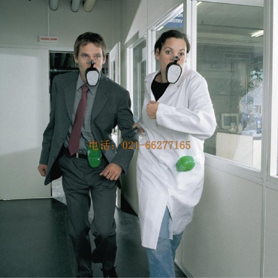 miniSCAPE΢������������