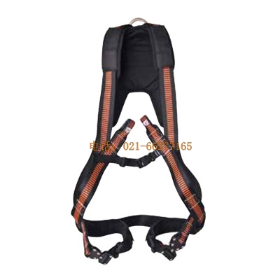 ������501109 ��ȫ��